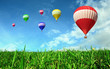 Hot air balloons floating over green field Hot air balloons floating over green field