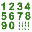 leaves number collection leaves number collection
