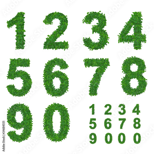 Illustration: leaves number collection leaves number collection