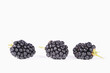 Brombeeren