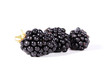 Brombeeren