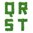 leaf alphabet Q-T