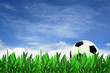 soccer ball on grass with blue sky