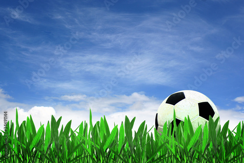 Photo: soccer ball on grass with blue sky soccer ball on grass with blue sky