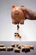 Photo: Working for peanuts Working for peanuts