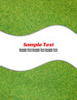 Green grass isolated with curve white line