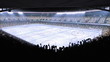 Hockey stadium. Sports event.