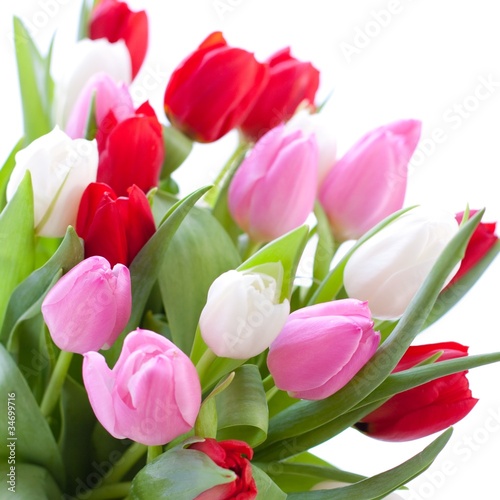 Foto: Red, pink and white tulips Red, pink and white tulips