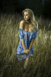 Foto: girl in meadow girl in meadow