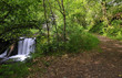 Cascada en el bosque de Muniellos.