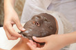 Chocolate mask