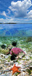 Colorful ocean