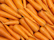 fresh cropped carrots background fresh cropped carrots background