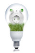 Strom Sparen