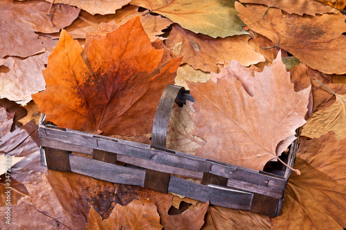 Photo: Herbst Herbst