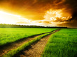 ground road and sunset