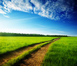 ground road and sunset