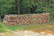 Buntes Brennholz