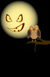 Owl sitting on a tree