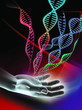 DNA molecules and hand