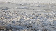 Video: Chunks of ice flow down the river Chunks of ice flow down the river