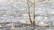 Video: Chunks of ice flow down the river Chunks of ice flow down the river
