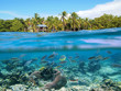 Snorkeling in Panama