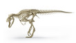 trex isolated on white