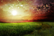 red sky