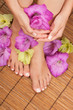 Pedicure and Manicure Spa