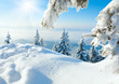 Winter snowy landscape