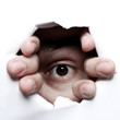 Foto: auge auge