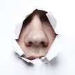nase
