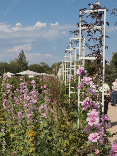Foto: Blumenbeet Blumenbeet
