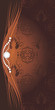 Shining stresses on the decorative brown background for design