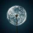 Pusteblume gewöhnlicher Löwenzahn