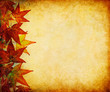 Fall Leaf Margin