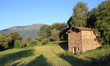 Vecchia cascinetta in Olgiasca al mattino