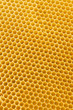 Bienenwabe