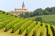 Landscape in the Oltrepo Pavese (Italy) Landscape in the Oltrepo Pavese (Italy)