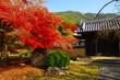 日本の寺院と紅葉　Autumn tint and temple in Japan