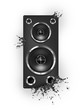 Acoustic Loudspeaker Acoustic Loudspeaker