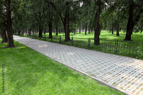 Photo: lawn and trees in park lawn and trees in park