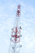 Transmitter tower