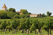 Photo: Sur les coteaux de Blaye Sur les coteaux de Blaye