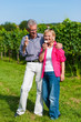 Photo: Senior couple having walk with ice cream Senior couple having walk with ice cream