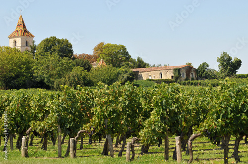 Photo: Sur les coteaux de Blaye Sur les coteaux de Blaye