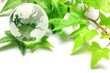 eco-image
