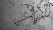 Molecular background