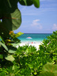 Miami Beach